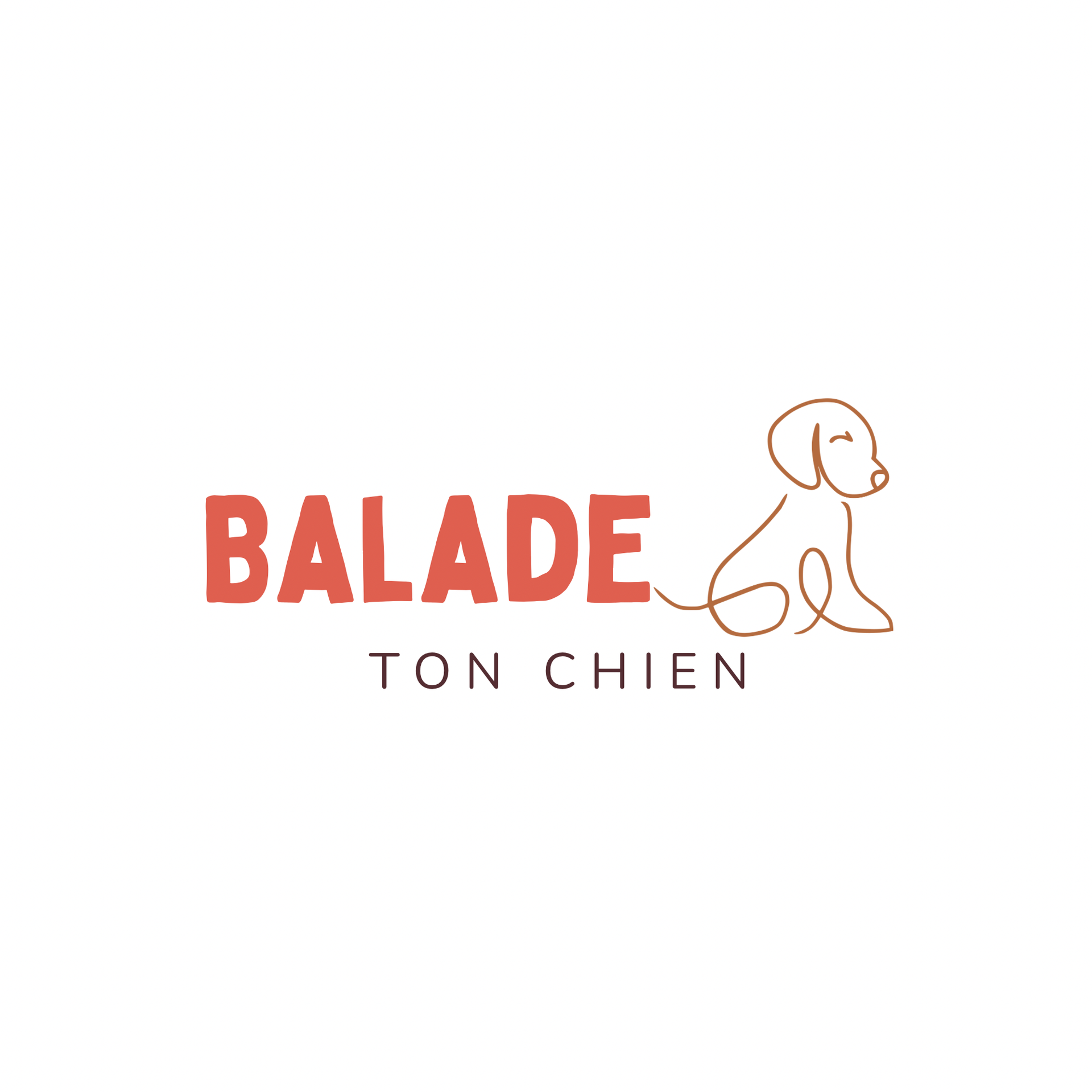 Balade ton chien !